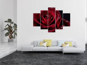 Slika - Crvena ruža (150x105 cm)