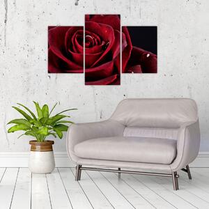 Slika - Crvena ruža (90x60 cm)