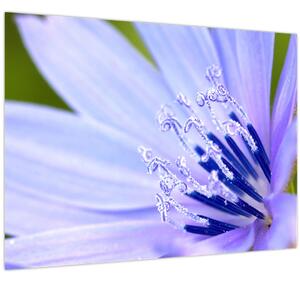 Slika - cvijet (70x50 cm)