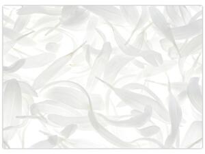 Slika - Latice cvijeta (70x50 cm)