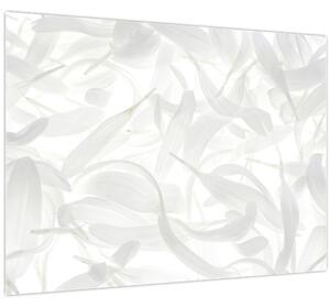 Slika - Latice cvijeta (70x50 cm)