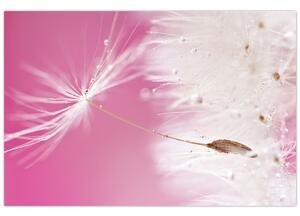 Slika - Makro cvijet (90x60 cm)