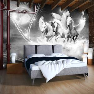 Foto tapeta - Konji - ukras sobe djevojčice (152,5x104 cm)