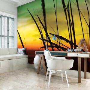 Foto tapeta - Trava na plaži (152,5x104 cm)