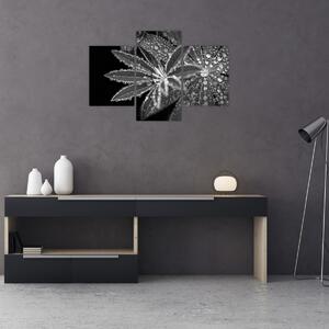 Slika - Lišće s kapljicama (90x60 cm)