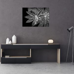Slika - Lišće s kapljicama (70x50 cm)