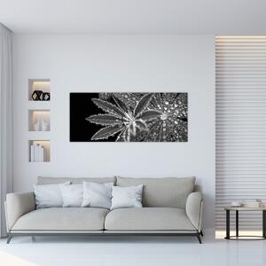 Slika - Lišće s kapljicama (120x50 cm)