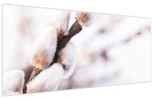 Slika - Grana s macicama vrbe ive (120x50 cm)
