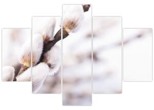 Slika - Grana s macicama vrbe ive (150x105 cm)