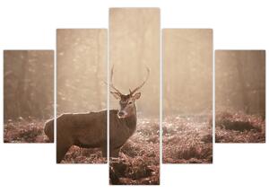 Slika - Jelen u šumi (150x105 cm)