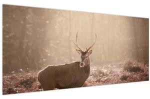 Slika - Jelen u šumi (120x50 cm)