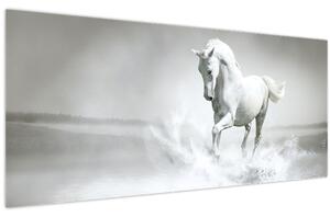 Slika - Bijeli konj (120x50 cm)
