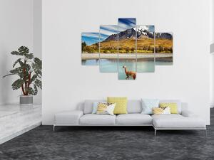 Slika - Nacionalni park Torres del Paine (150x105 cm)