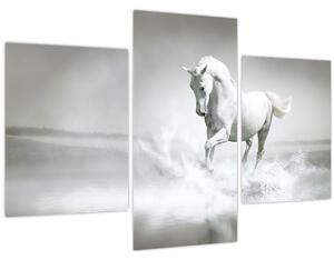 Slika - Bijeli konj (90x60 cm)