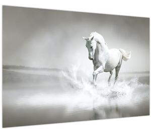 Slika - Bijeli konj (90x60 cm)
