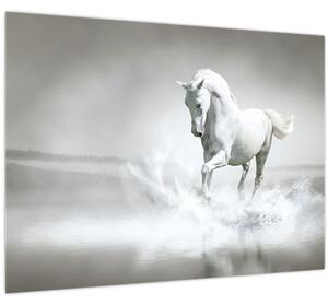 Slika - Bijeli konj (70x50 cm)