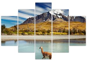 Slika - Nacionalni park Torres del Paine (150x105 cm)