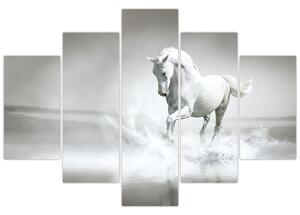 Slika - Bijeli konj (150x105 cm)