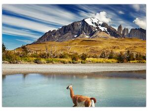 Slika - Nacionalni park Torres del Paine (70x50 cm)