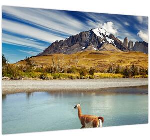 Slika - Nacionalni park Torres del Paine (70x50 cm)