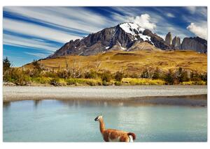 Slika - Nacionalni park Torres del Paine (90x60 cm)