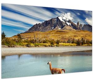 Slika - Nacionalni park Torres del Paine (90x60 cm)