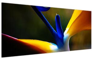 Slika - Egzotični cvijet (120x50 cm)