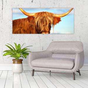 Slika - Škotska krava (120x50 cm)