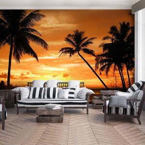 Foto tapeta - Zalazak sunca u tropima (152,5x104 cm)