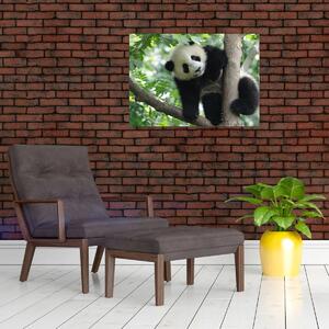 Slika - Panda na drvetu (70x50 cm)