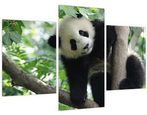 Slika - Panda na drvetu (90x60 cm)