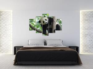 Slika - Panda na drvetu (150x105 cm)