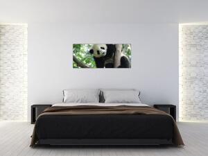 Slika - Panda na drvetu (120x50 cm)
