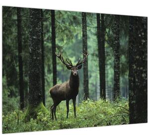 Slika - Jelen u dubokoj šumi (70x50 cm)