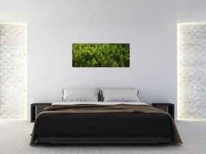Slika - Gusta šuma (120x50 cm)