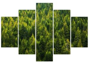 Slika - Gusta šuma (150x105 cm)