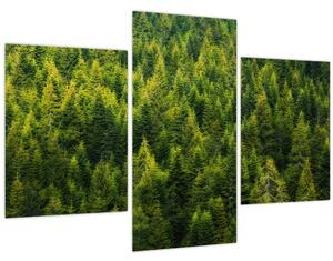 Slika - Gusta šuma (90x60 cm)