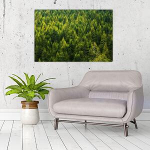 Slika - Gusta šuma (90x60 cm)