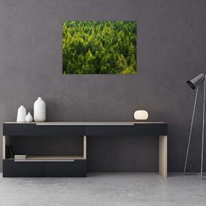 Slika - Gusta šuma (70x50 cm)