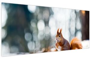 Slika - Vjeverica (120x50 cm)