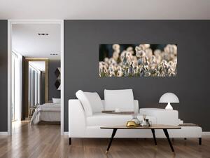 Slika - Bijeli svračak (120x50 cm)