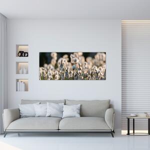 Slika - Bijeli svračak (120x50 cm)