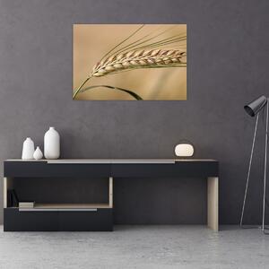 Slika - Pšenica (90x60 cm)
