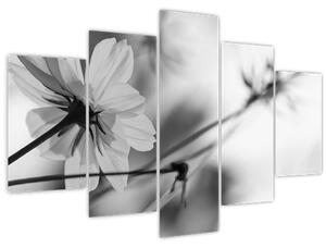 Slika - Crno-bijelo cvijeće (150x105 cm)