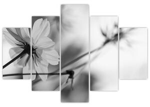 Slika - Crno-bijelo cvijeće (150x105 cm)