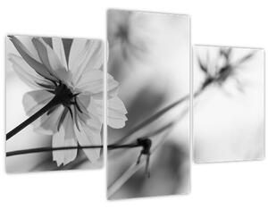 Slika - Crno-bijelo cvijeće (90x60 cm)