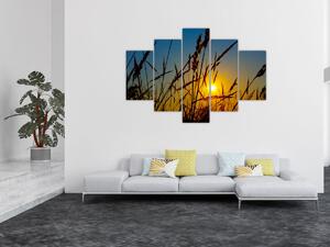 Slika - Zalazak sunca na livadi (150x105 cm)