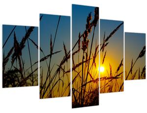 Slika - Zalazak sunca na livadi (150x105 cm)