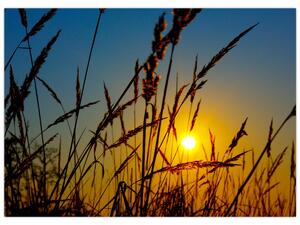 Slika - Zalazak sunca na livadi (70x50 cm)