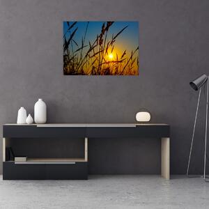 Slika - Zalazak sunca na livadi (70x50 cm)